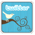 Twitter Button